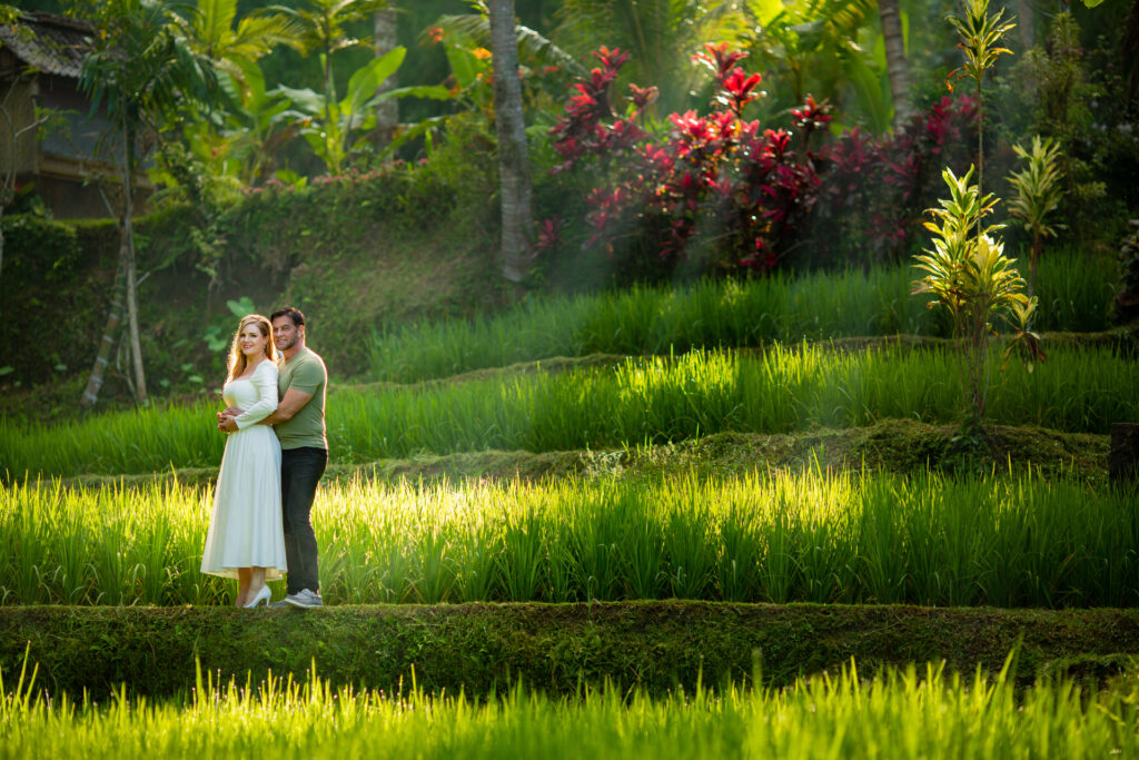 Beautiful Ray of Light at the Rice Terrace Tegalalang