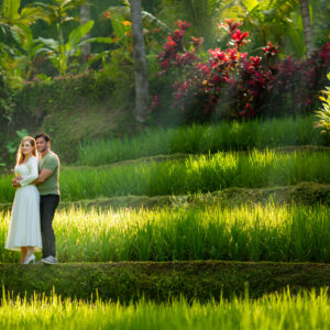 Beautiful Ray of Light at the Rice Terrace Tegalalang